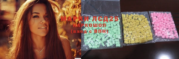 винт Алзамай