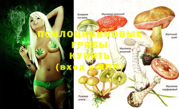 винт Алзамай