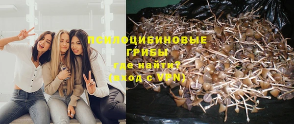 винт Алзамай