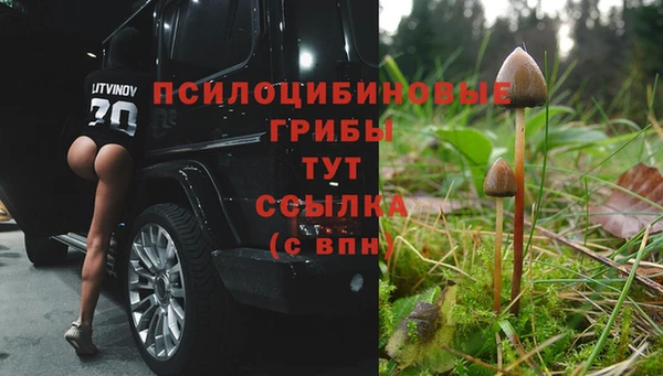 наркотики Алексин