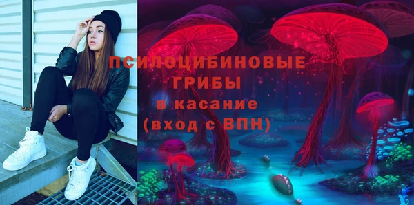 винт Алзамай