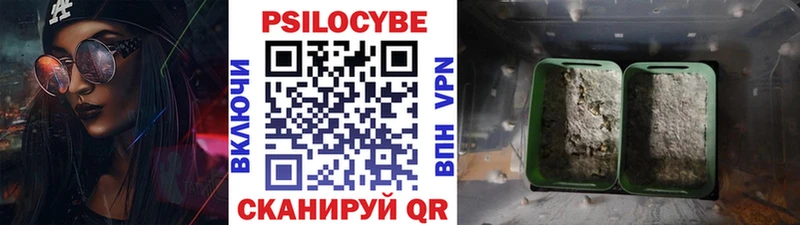 Галлюциногенные грибы мухоморы  ссылка на мегу как зайти  darknet наркотические препараты  Карабаш 